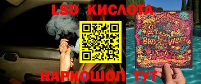PSILOCYBIN Бугуруслан