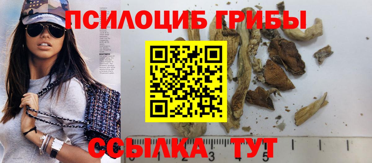 Галлюциногенные грибы MAGIC MUSHROOMS  цена   Псилоцибиновые грибы мицелий  Красноармейск  Вход с VPN 